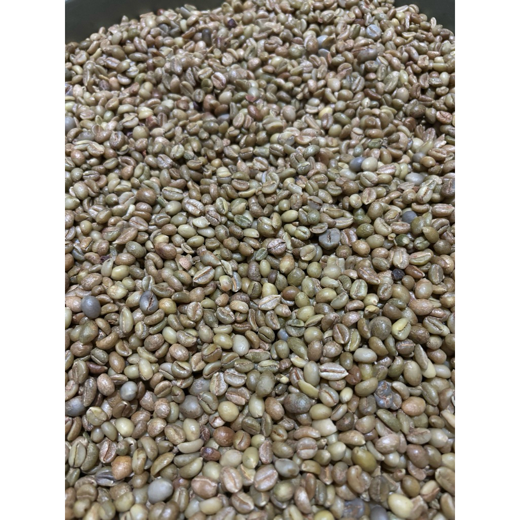 

biji kopi exelsa(ASISAH)Murah