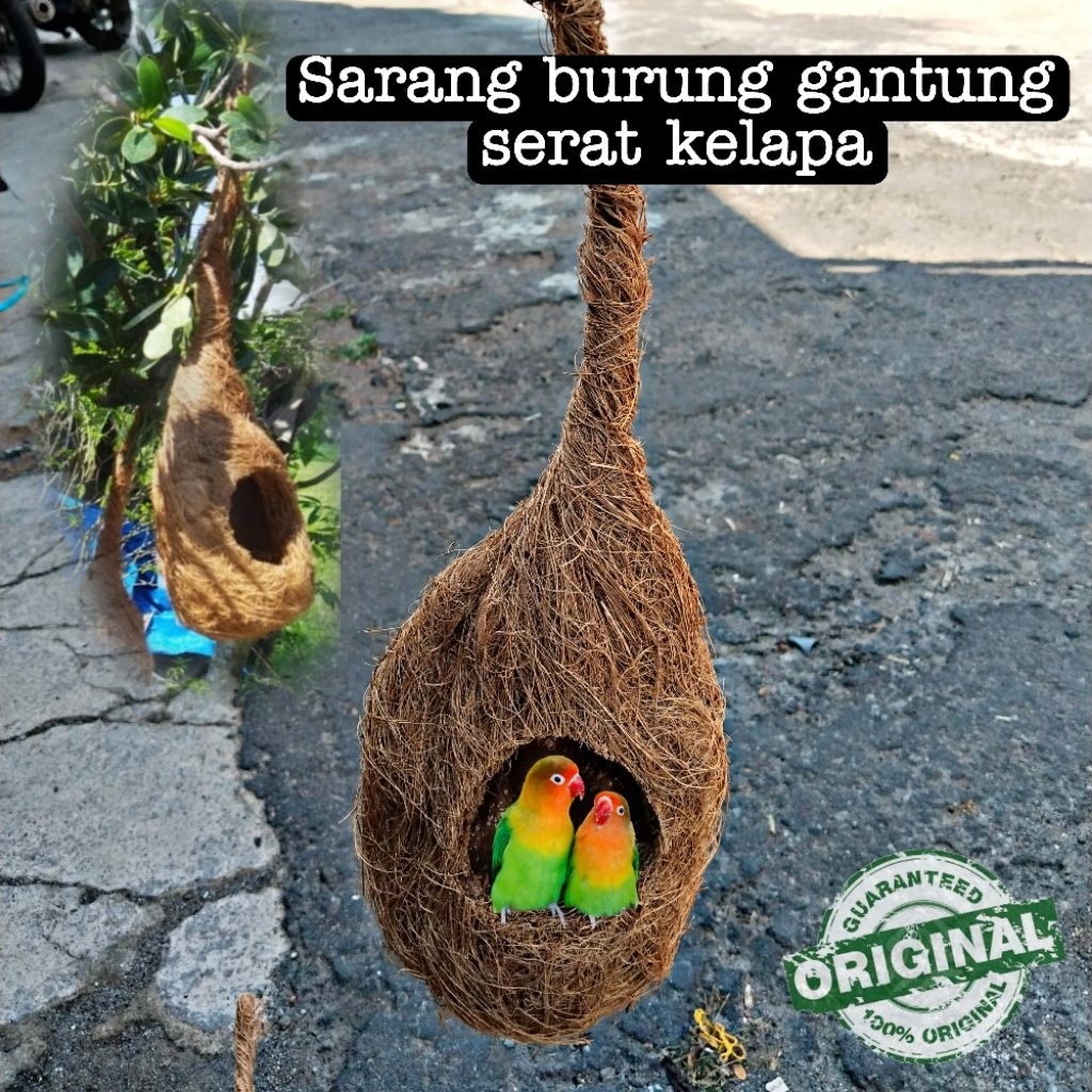 Glodok gantung serabut kelapa burung lovebird model unik 1pcs