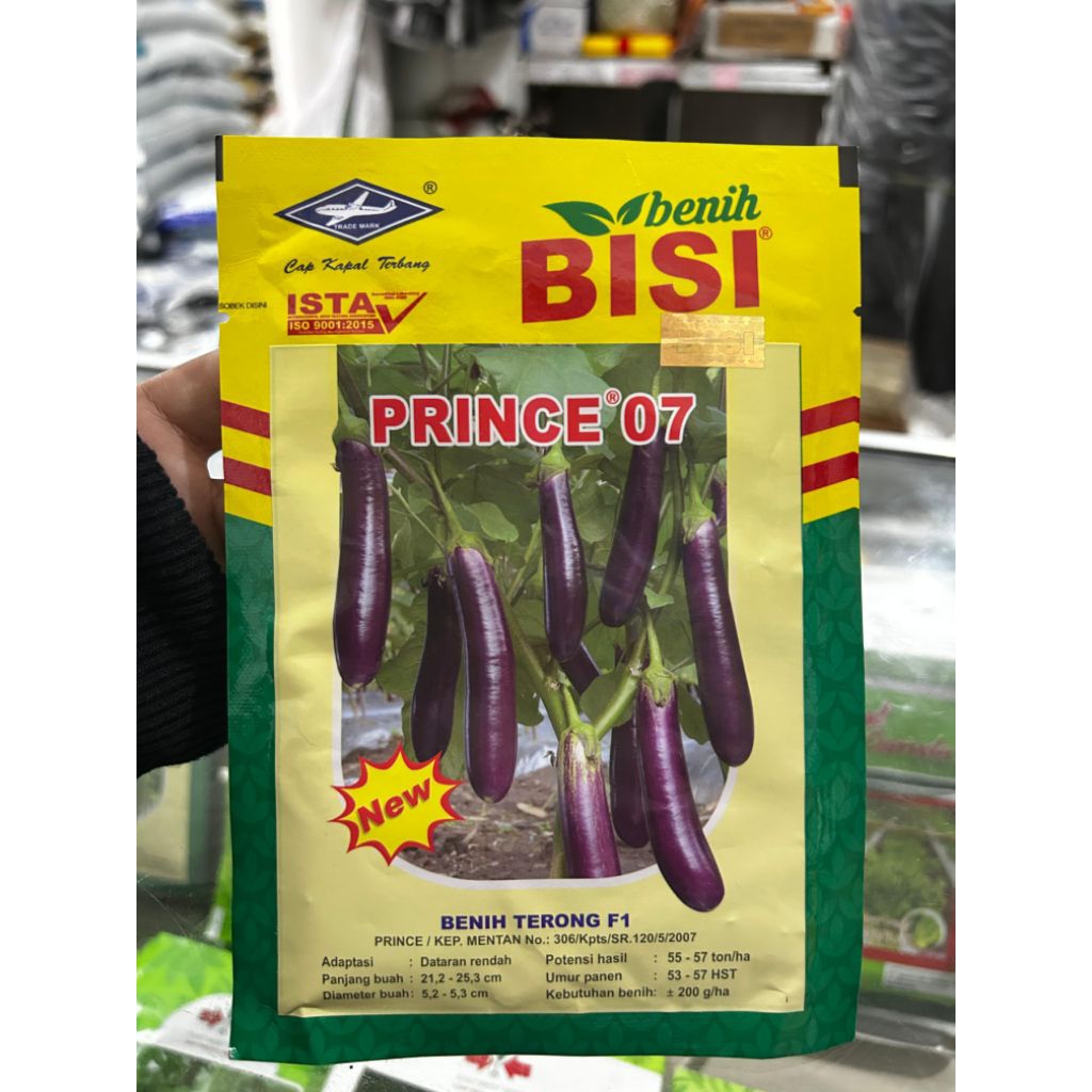 

BENIH TERONG UNGU PRINCE 07