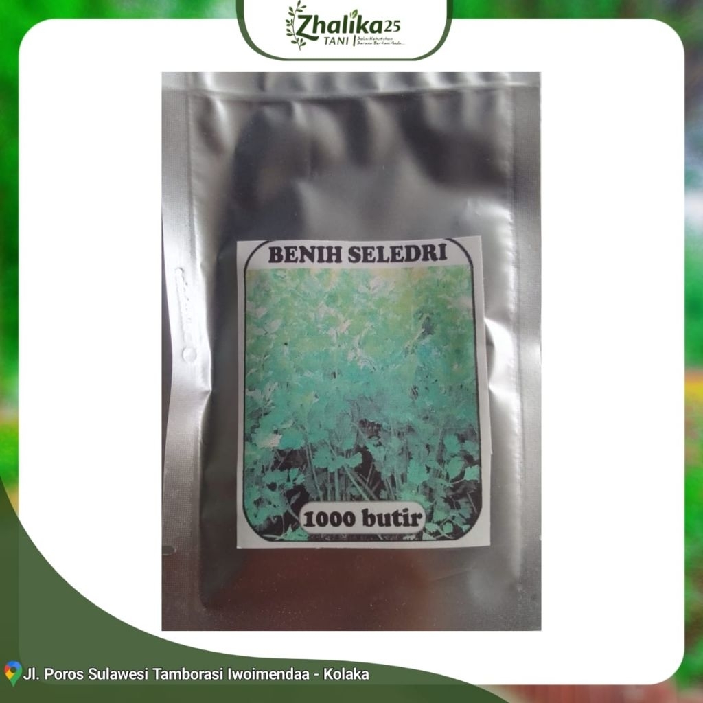 

SELEDRI Benih ±1000 biji