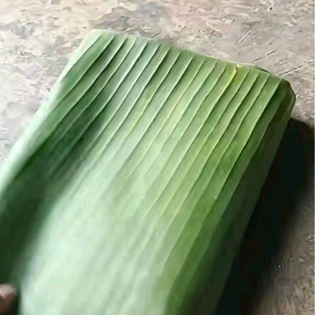 

daun pisang kepok super 6 lembar