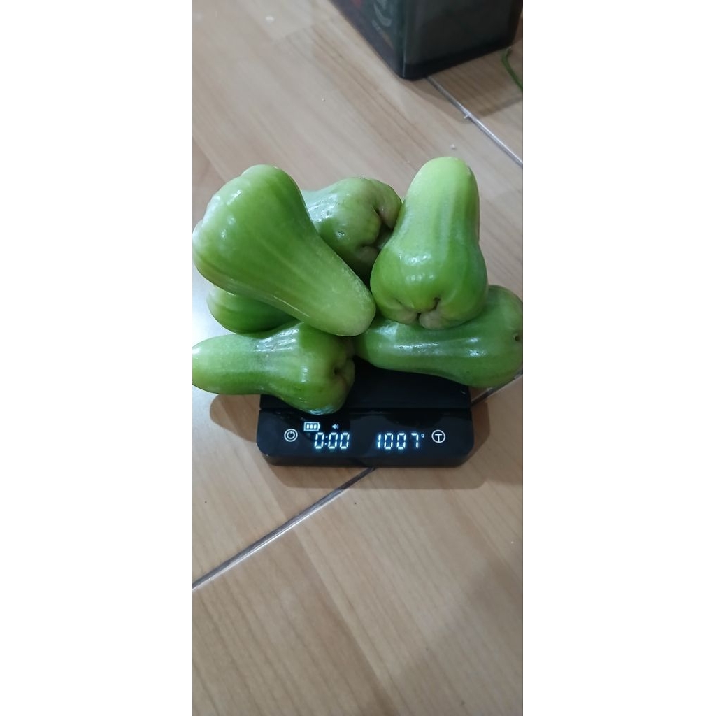 

jambu jenis Green giant
