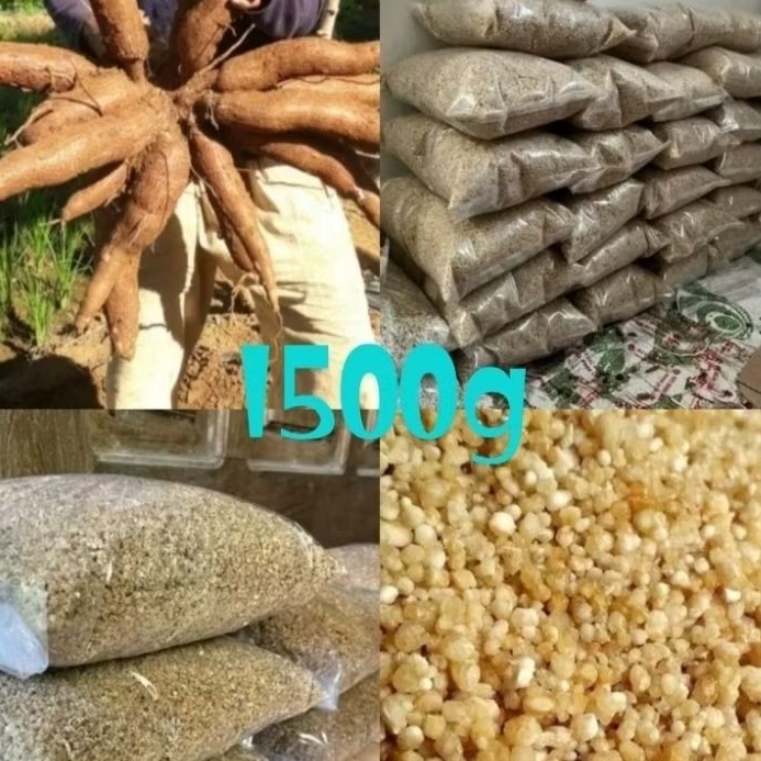 

TIWUL, NASI TIWUL INSTAN ISI 1500G