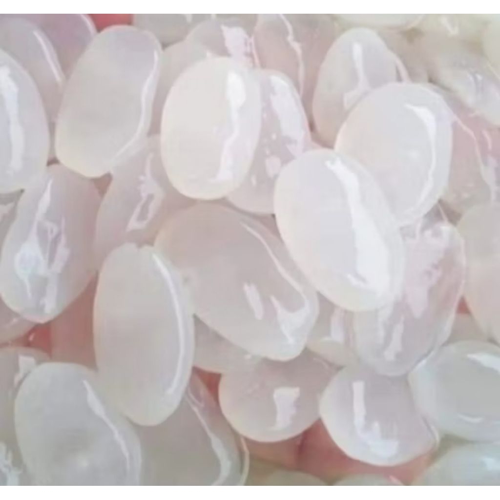 

kolang kaling jumbo segar murah 1kg