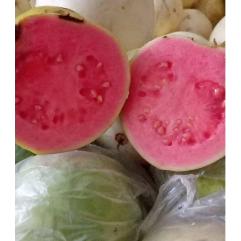 

JAMBU MERAH ( JAMBU JUS ) 1KG