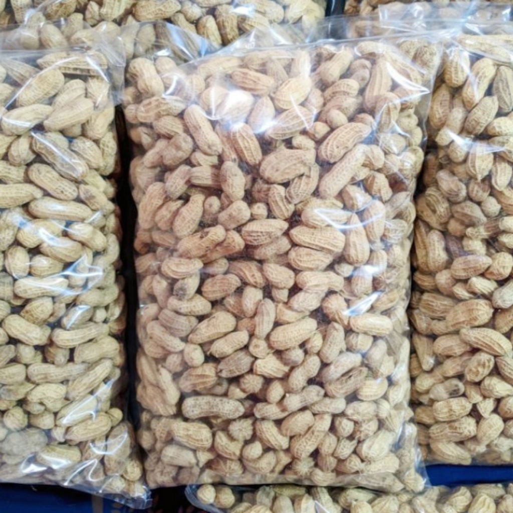 

KACANG KULIT SANGRAI 1KG