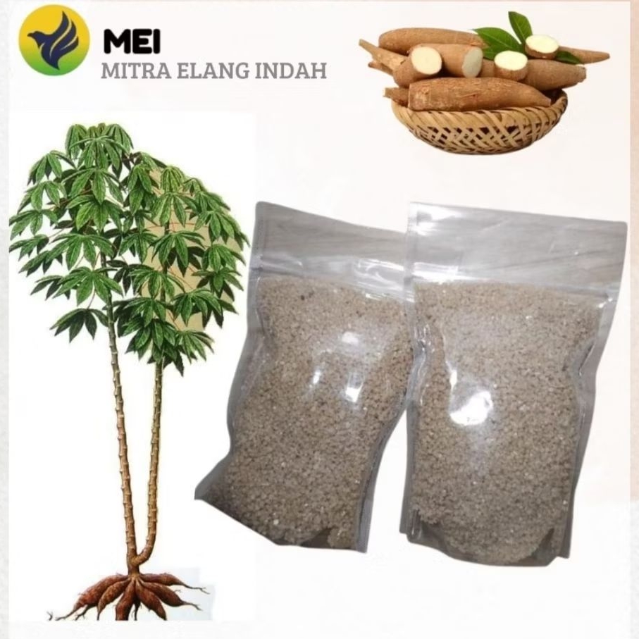 

nasi singkong/oyek/ tiwul