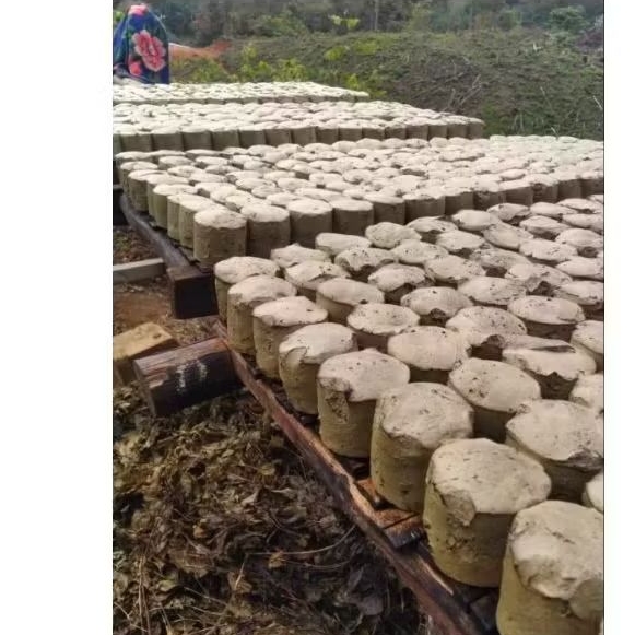 

GAMBIR ORIGINAL/ GAMBIR MURAH / GAMBIR HERBAL