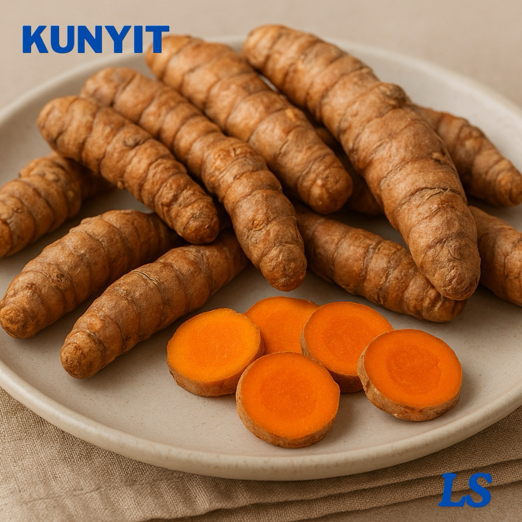 

Kunyit Rimpang segar