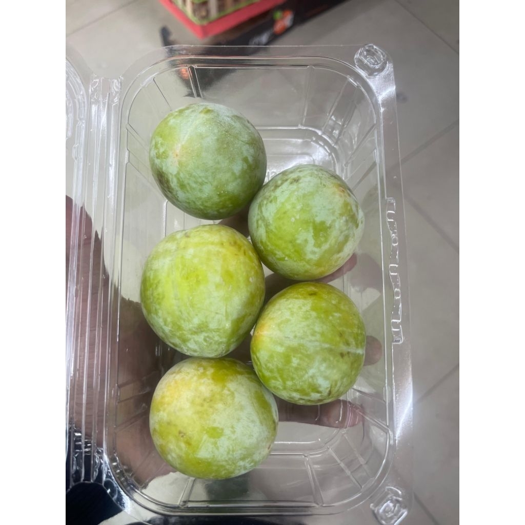

Buah Plum Hijau USA | Plum Green Sierra Honey 454 Grm
