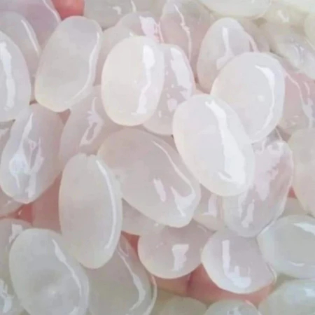 Kolang Kaling Segar Harga Bersahabat - Kolang Kaling Alami
