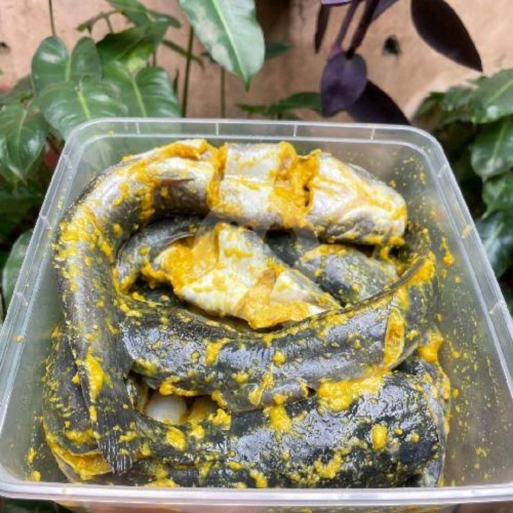 

Lele Ungkep - Niagara Fresh