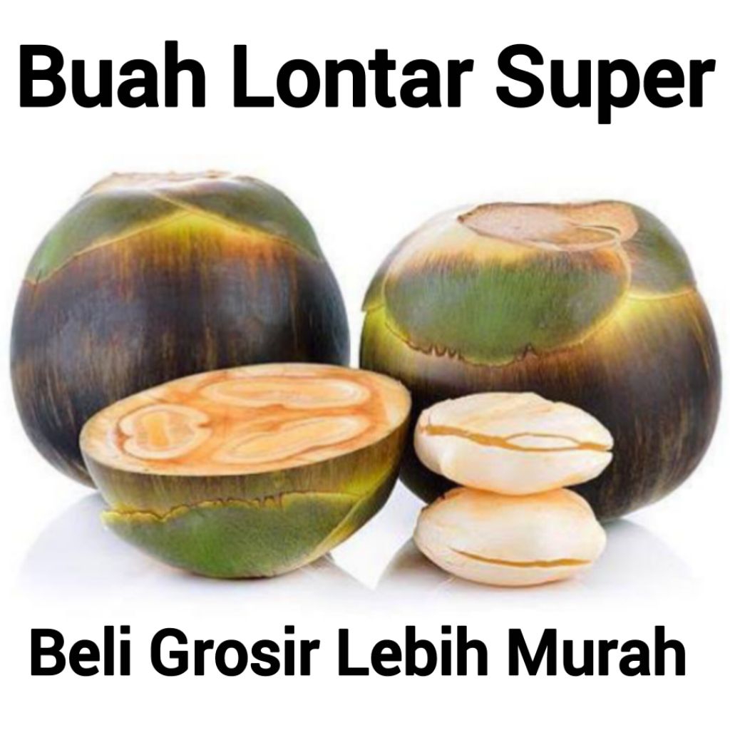 

Buah Lontar Siwalan Super 1 Buah isi 3 Biji Asli Tuban