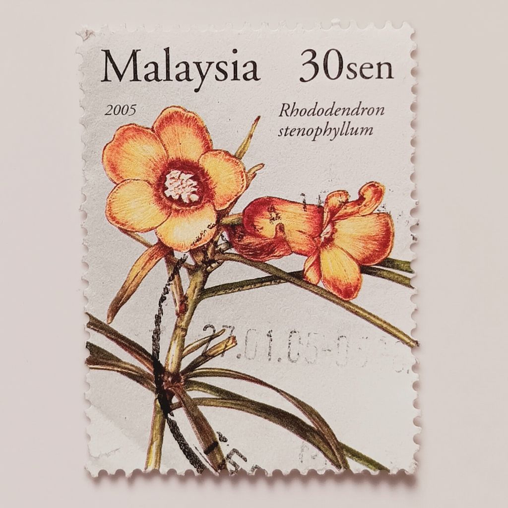 

(AA) Perangko Malaysia 2005 Rare rhododendrons - Rhododendron stenophyllum 30 sen Used