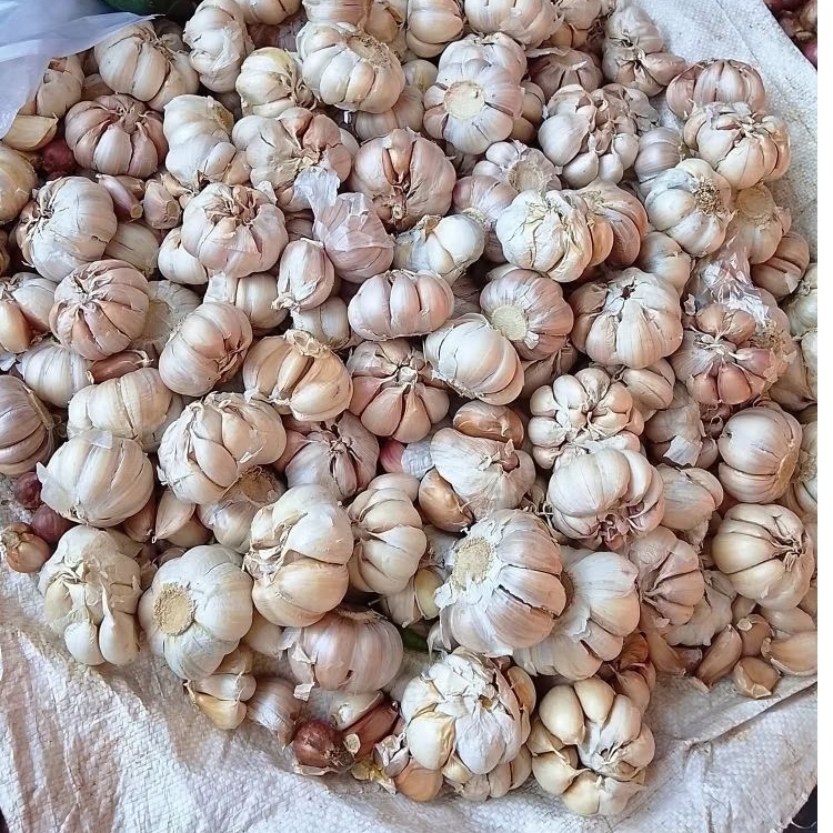 

Bawang Putih 1Kg Termurah Bersih Aroma Kuat