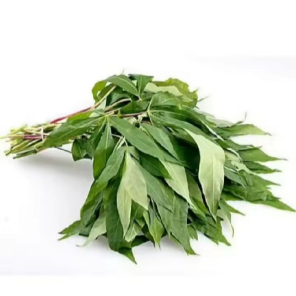 

daun singkong muda fresh baru petik dari pohon berat 1kg