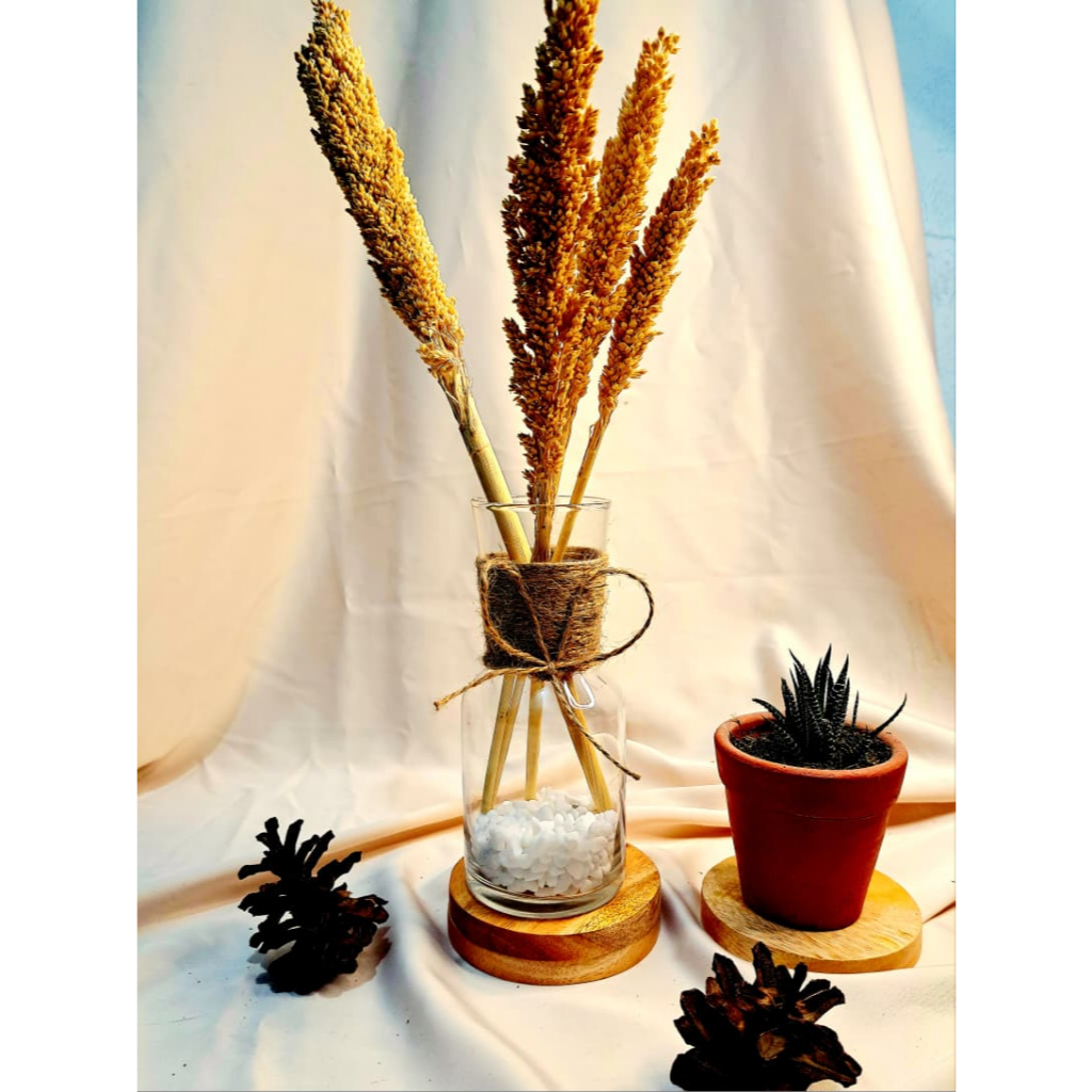 Vas Kaca Bening Tali Rami/ Vas Aestetik / Pot Bunga Hias/ Vas Bunga Hias Kaca