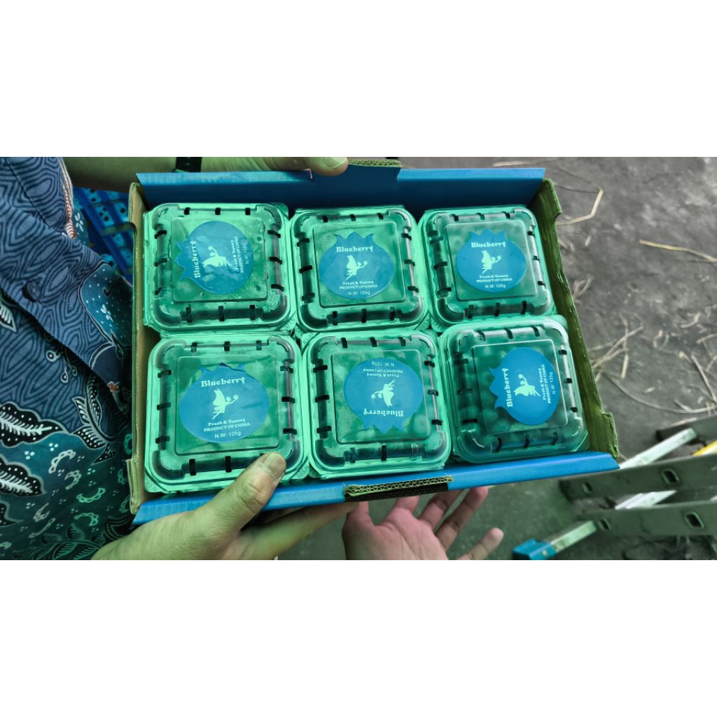 

Buah blueberry import China super 125 gram