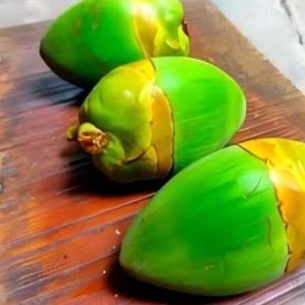 

fresh! BELULUK KELAPA / BLULUK KELAPA /KELAPA KECIL / UNTUK OBAT