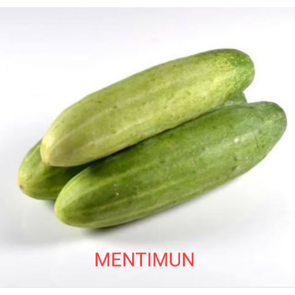 

TIMUN, MENTIMUN, BUAH TIMUN LALAPAN SERBA GOCENG 5000