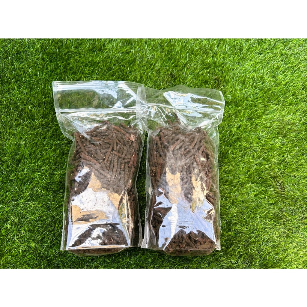 

Cabai Jamu Jawa – Panen Sendiri – 100% Alami