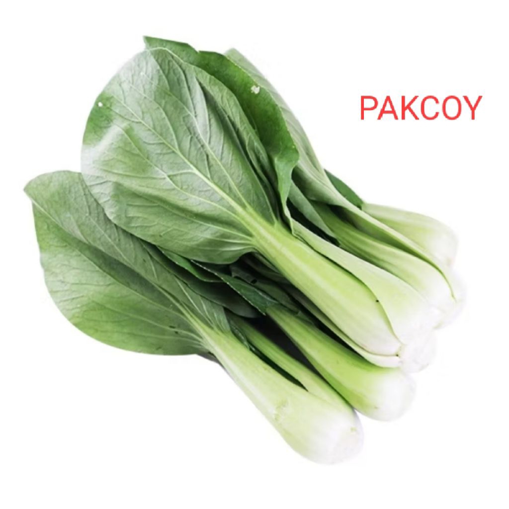 

SAYUR PAKCOY, SAWI SENDOK