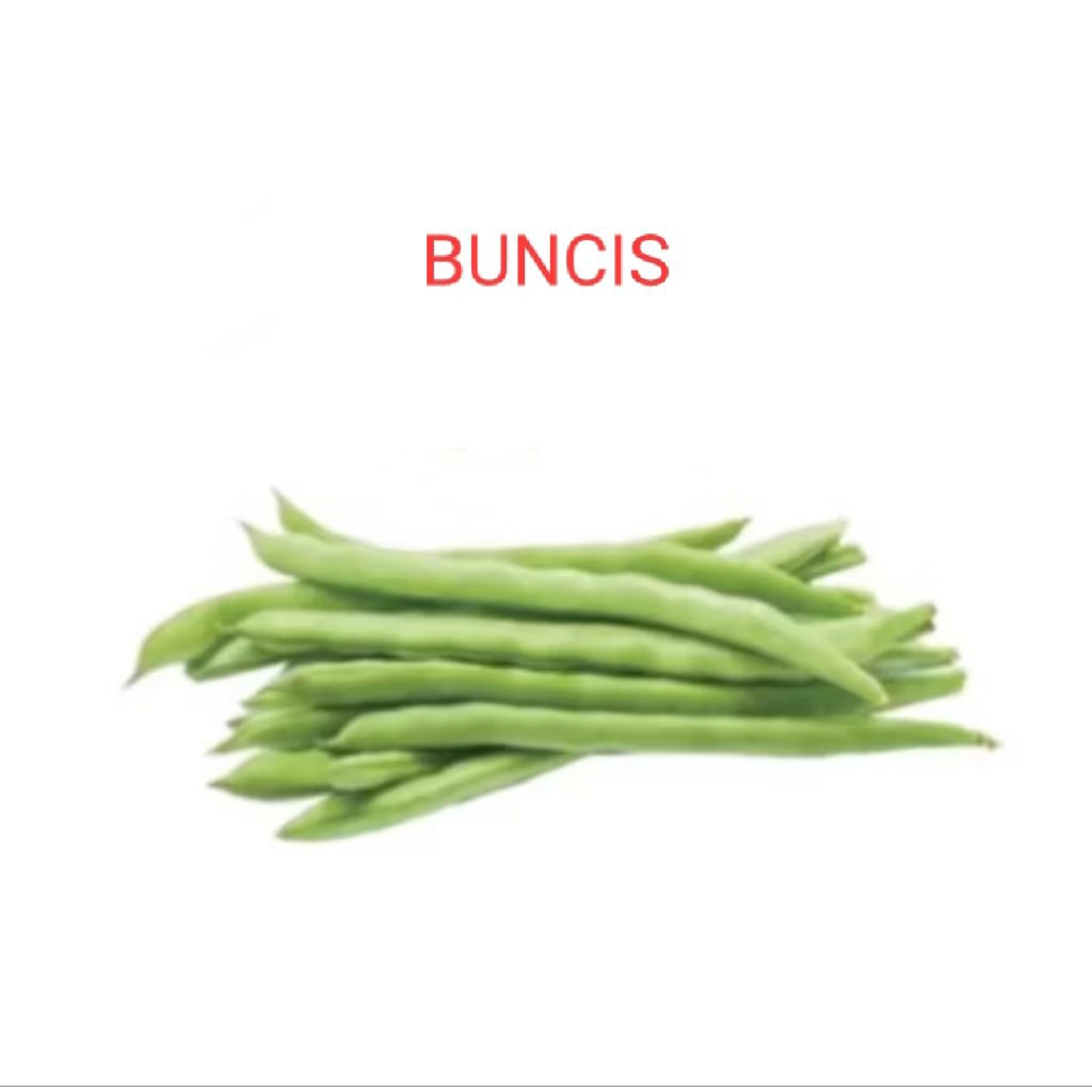 

BUNCIS, SAYUR BUNCIS, BONCIS SERBA 5000
