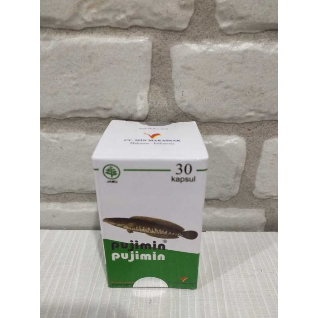 PUJIMIN
