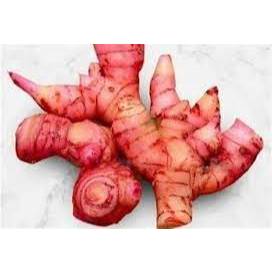 

JAHE MERAH 1KG SEGAR