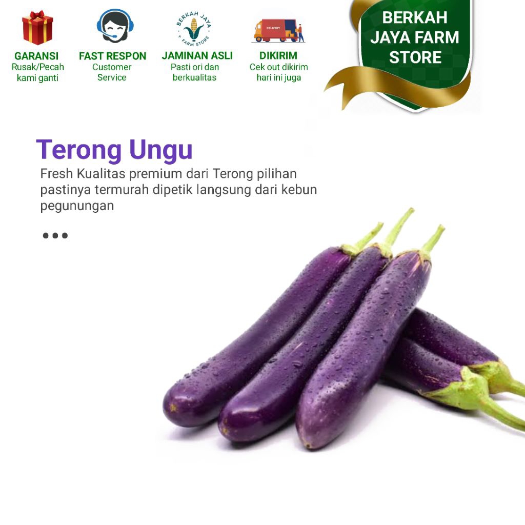 

Termurah terong ungu 1 kilogram fresh dari pegunungan