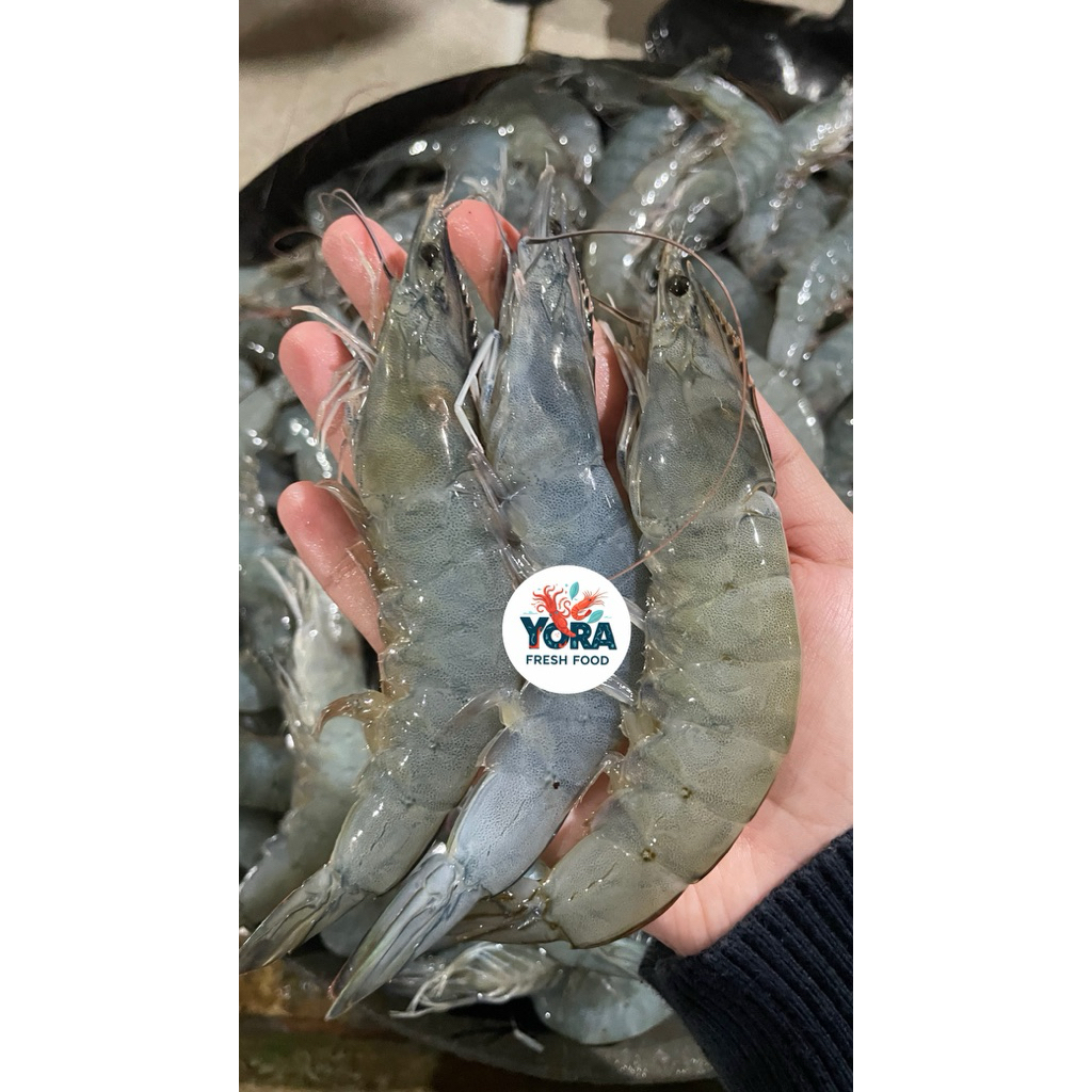 

Udang Vaname SUPER JUMBO size 25-30 ekor 1kg | Fresh Frozen Instan Premium Instan Termurah