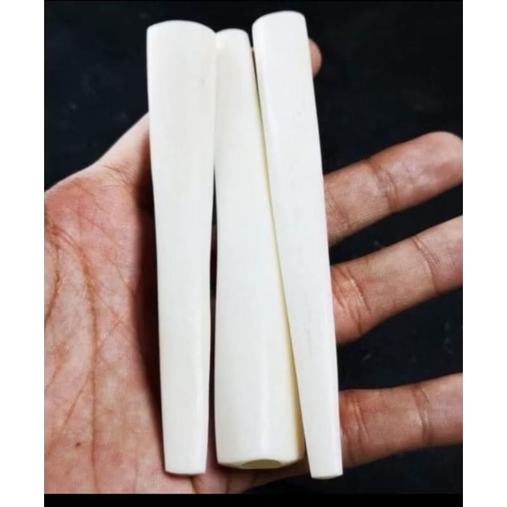 ONCE PIPA TULANG DUYUNG ASLI PANJANG 11-12 CM