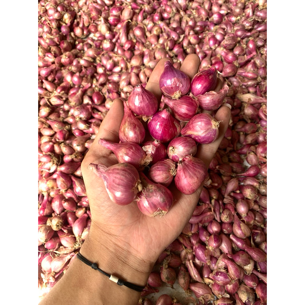 

1 Kg Super Bawang Merah Nganjuk Murah (Mix)