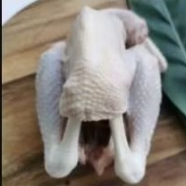 

Ayam pejantan fresh - uk 7 ons (berat hidup)