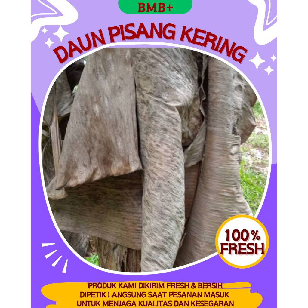 

BMB+ Daun Pisang Kering / Daun Klaras