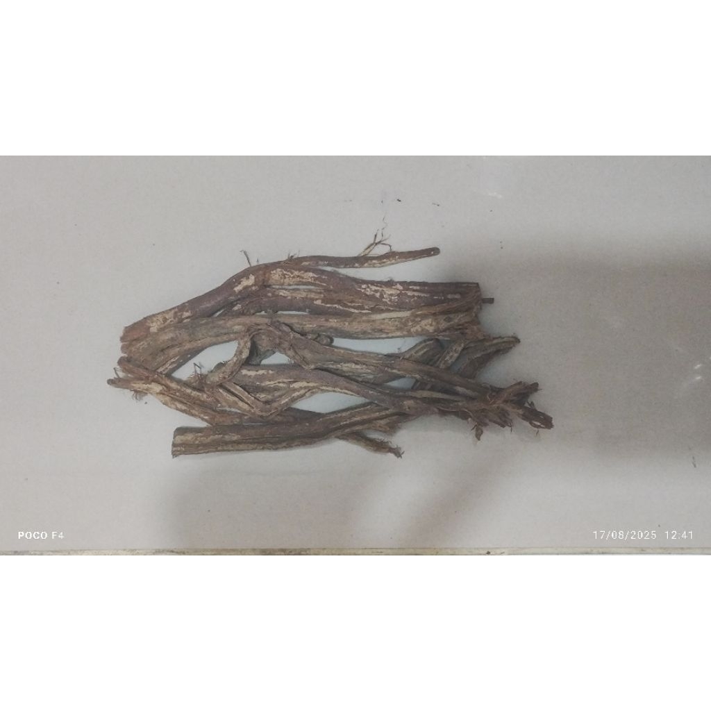 

100gr Herbal Zheng Chuan Pu Gen Hou Pu Magnoliae Cortex / Magnolia Officinalis Bark/ Houpoea Officinalis Bark / Cortex Magnoliae Officinalis / Twolobed Officinal Magnolia / Concaveleaf Magnolia / Officinal Magnolia Bark / Magnoliae Officinalis Cortex