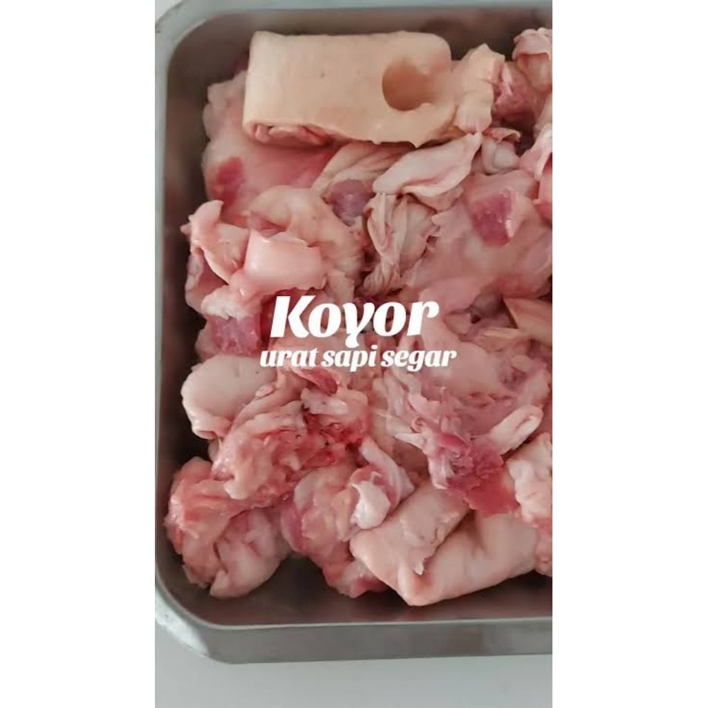 

URAT TENDON SAPI (KOYOR) 500GRAM