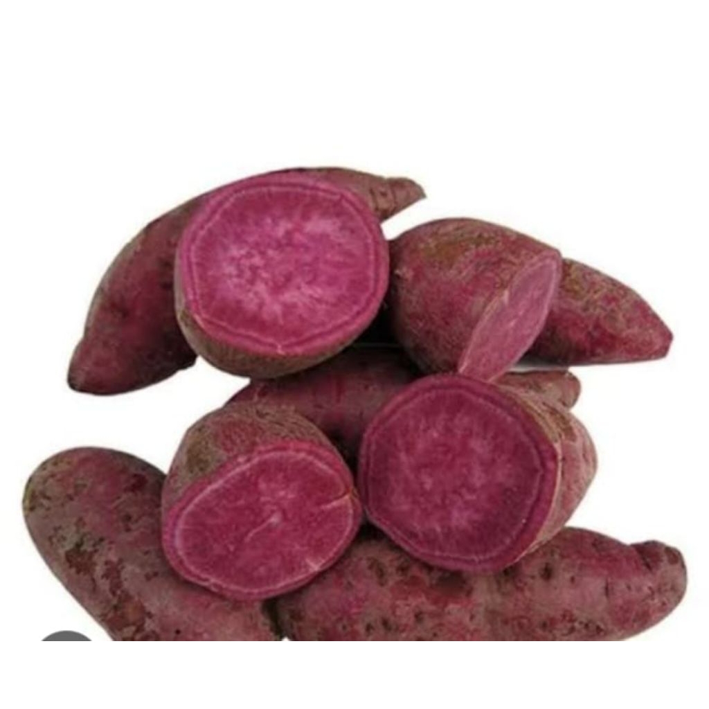 

ubi jalar ungu 1 kg mentah cocok untuk bahan kue