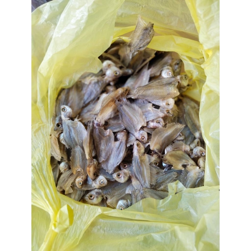 

Ikan Asin Sapat / Iwak karing sapat