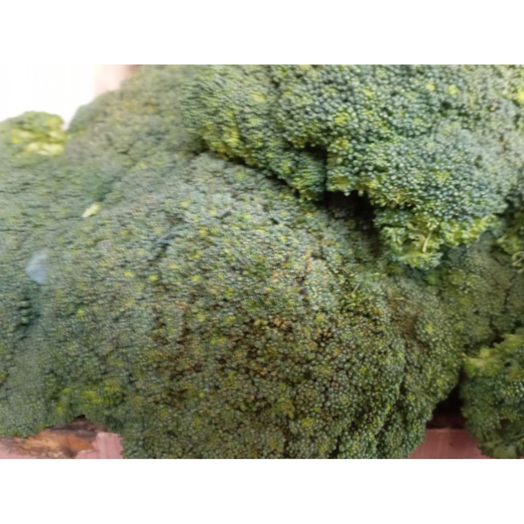 

Sayur Brokoli hijau segar