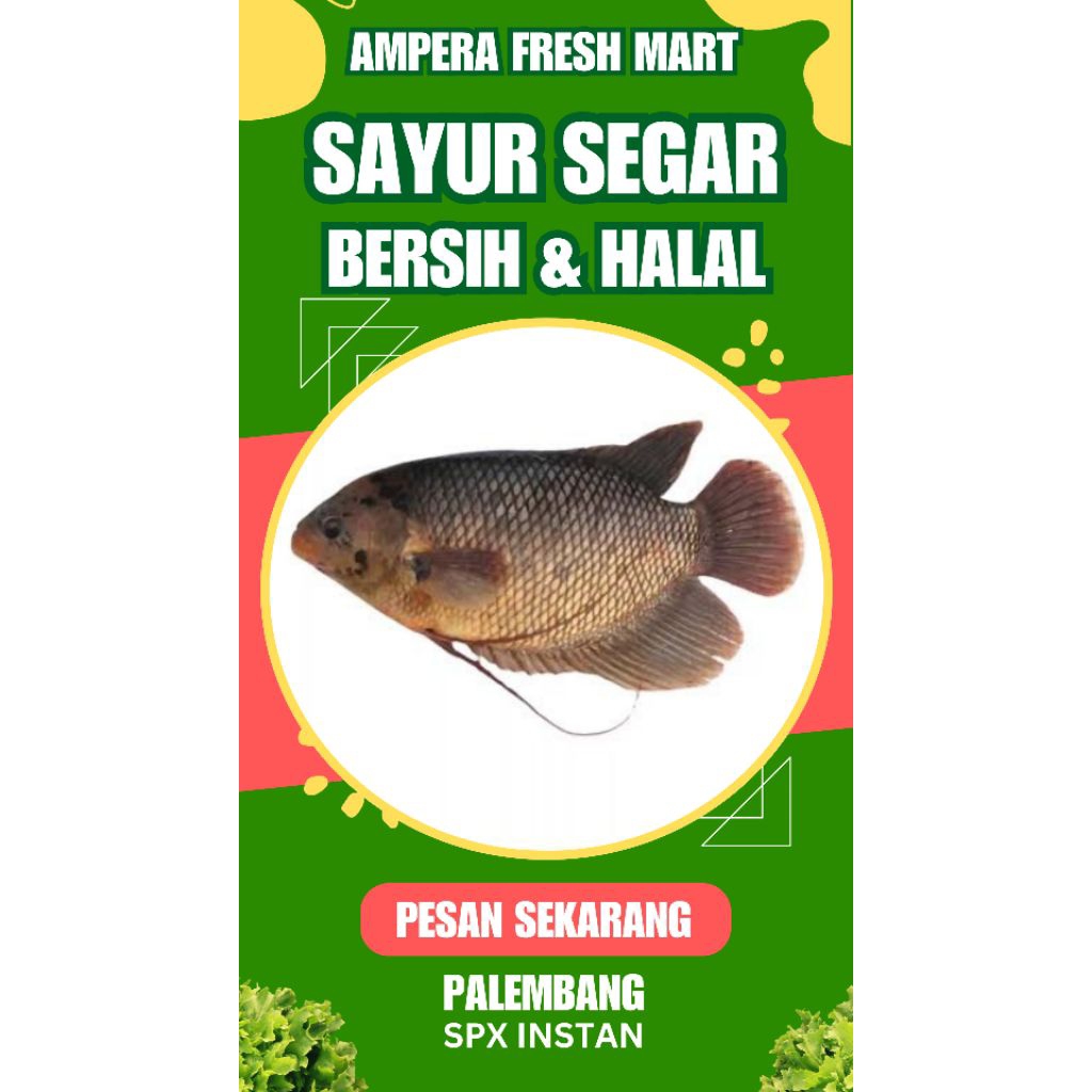

IKAN GURAME / IKAN GURAMI - INSTAN PALEMBANG