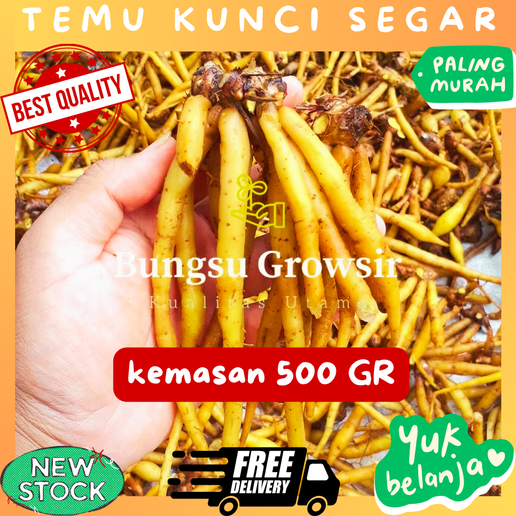 

Temu Kunci Segar Kemasan 500 Gr