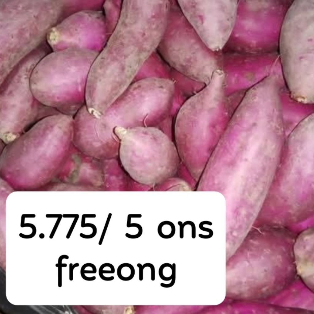 

Kecil 500 gram ubi jalar ungu standart fresh min beli 2 langsung petani