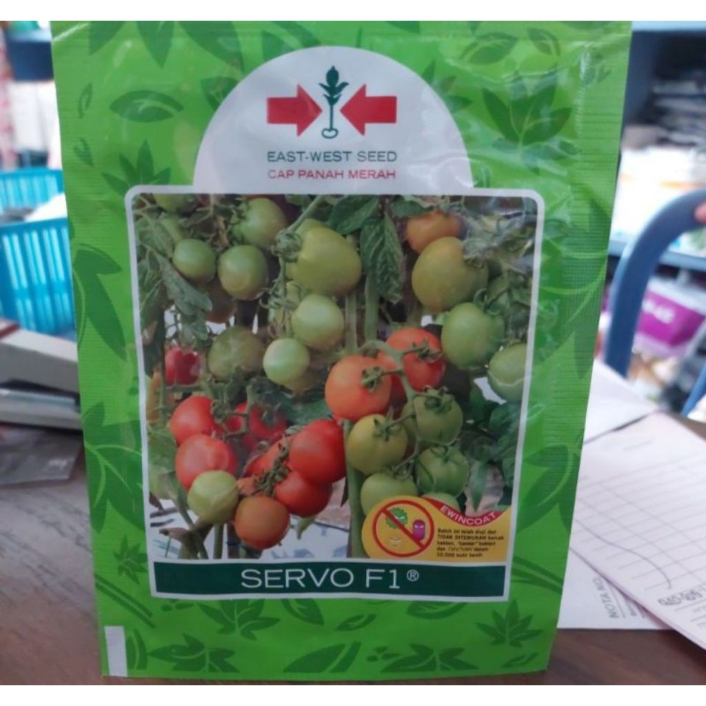 Servo F1 ( benih tomat hibrida F1) isi 1.750 biji