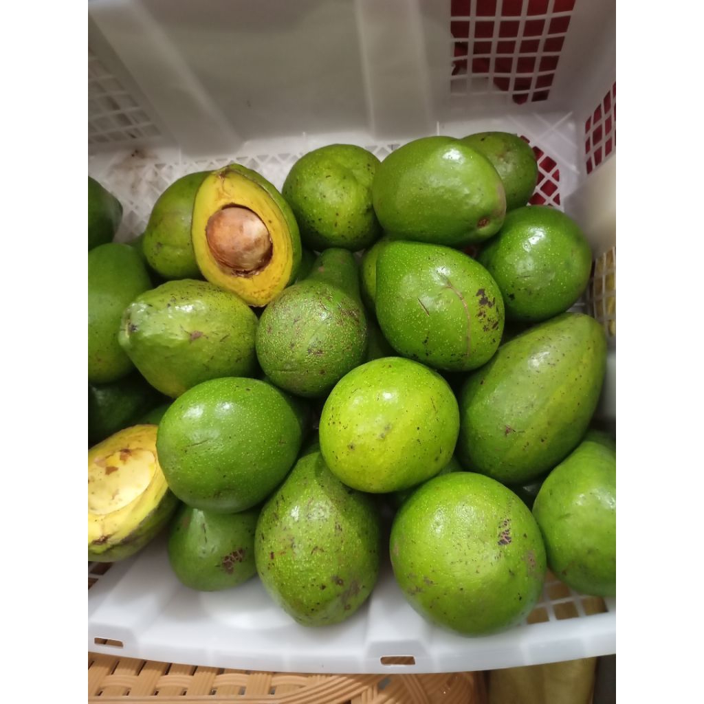 

Alpukat Mentega Mini 2kg isi 10-14 buah