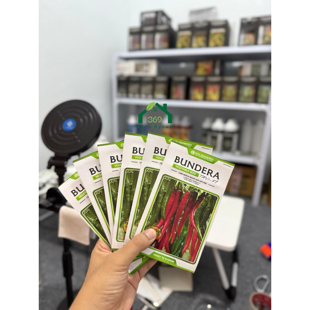 Bundera Tavi F1 Halbanero