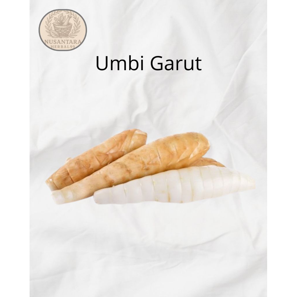 

Umbi Garut Segar 500gram Kaya Manfaat Termurah!