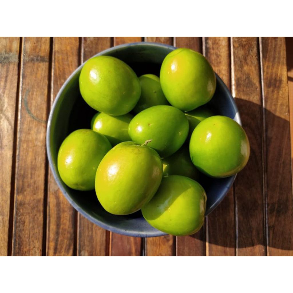 

MENURUNKAN DIABETES 250G BUAH BIDARA HERBAL