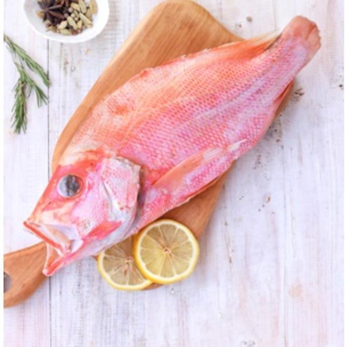 

Ikan Kakap Merah 5/6 Bersih Sisik