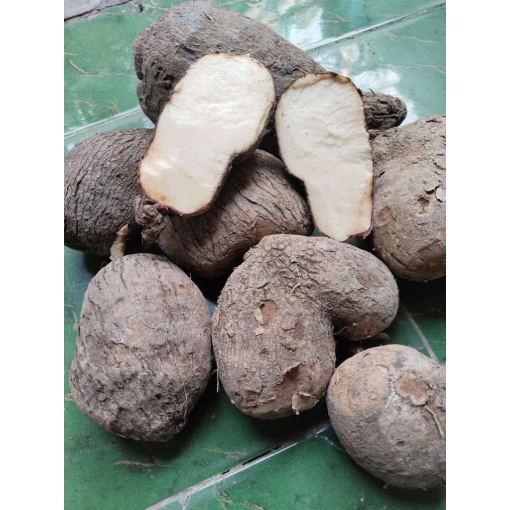 

1kg-3,2 kg uwi putih/uwi kelopo , gembuk pulen, enak pol.